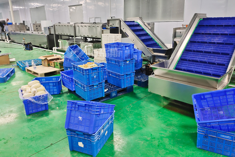 净菜加工客户现场(图1)