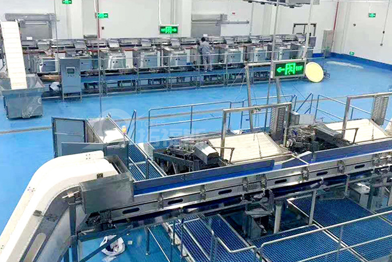 成套加工流水线(图1)