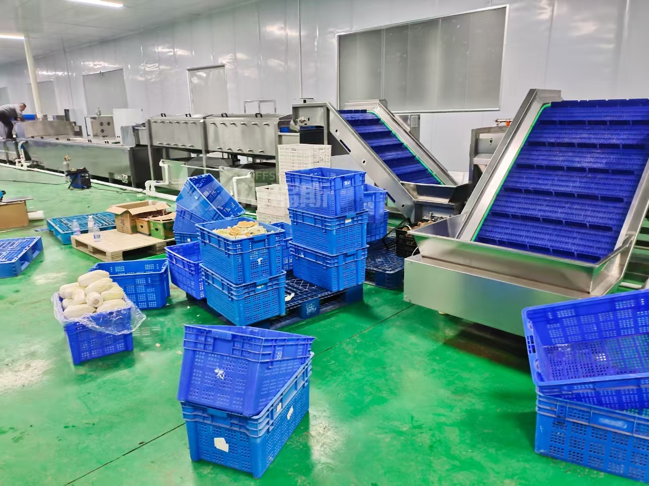 领航净菜加工新时代—— 一站式智能流水线解决方案(图1)