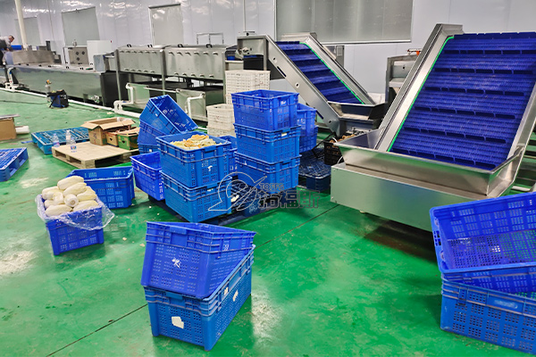 拓福斯机械水果清洗分选线｜柠檬橘子柚子百香果成套加工设备(图1)
